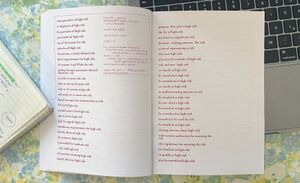 A printed book with an excerpt of the script for a speoken-word performance. You can read the (risk) text and the code that was used to sort out the original source.
